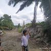 wahyu______nasution