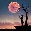 habiba.alaa00