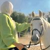 shahd.mohamed8512
