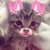 alishaloveyou11