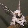 cyntiaregina7