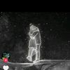 ehtram.nshaat