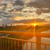 kecodon_0297