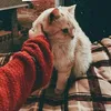 user6123118114385