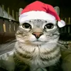 elcato4
