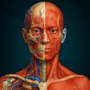MedVisuals 3D