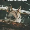_saad88o
