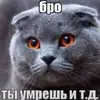 1489popa