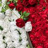 user8138115611843