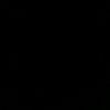 privv_ale_2