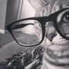 kitty_t3n93