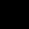 asss10106