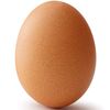 egg1_1