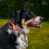 rightcoastsolutions