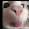paulynn_1
