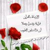 user8086015581282