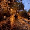 romanticizing_seasons