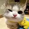 jonhkeneth2