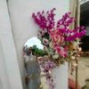 user4703236513146