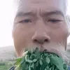 ksinwownow