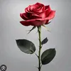 user25636178781030