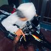 _apin0