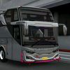foden9681