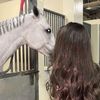 🐎