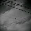lonely.at.heart