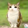i.cutey_6