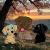 essa_pawz_