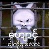 yamin79820