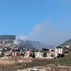libanon.10