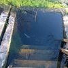 kivi_2011.05.27