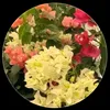 user1020133773843