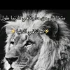 bassem.kamel32