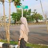 vln_lexzz