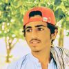 sangatnoorzaib