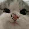 imherefor_thedrama