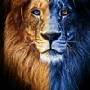 paul.david697