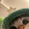 susuuuu_cokelatt