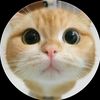 leo.ferga8