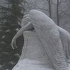moonlitangelfeathers