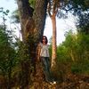 bipana.1231