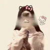 ciil5_4