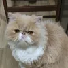 dannyoyama