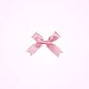 pinkbelongeinme
