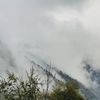 beautyofnature223