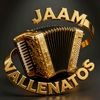 JAAM VALLENATOS