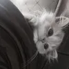 lizuwhabvsja